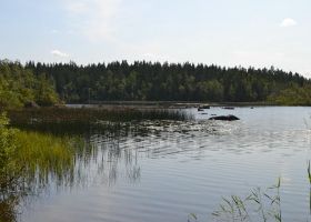 DSC_0022.JPG